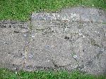 2006-0606-1140-13.jpg